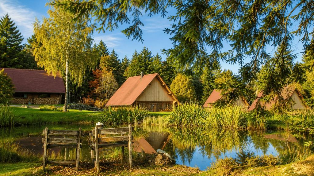 Nos chalets en bois dans la forêt des Vosges