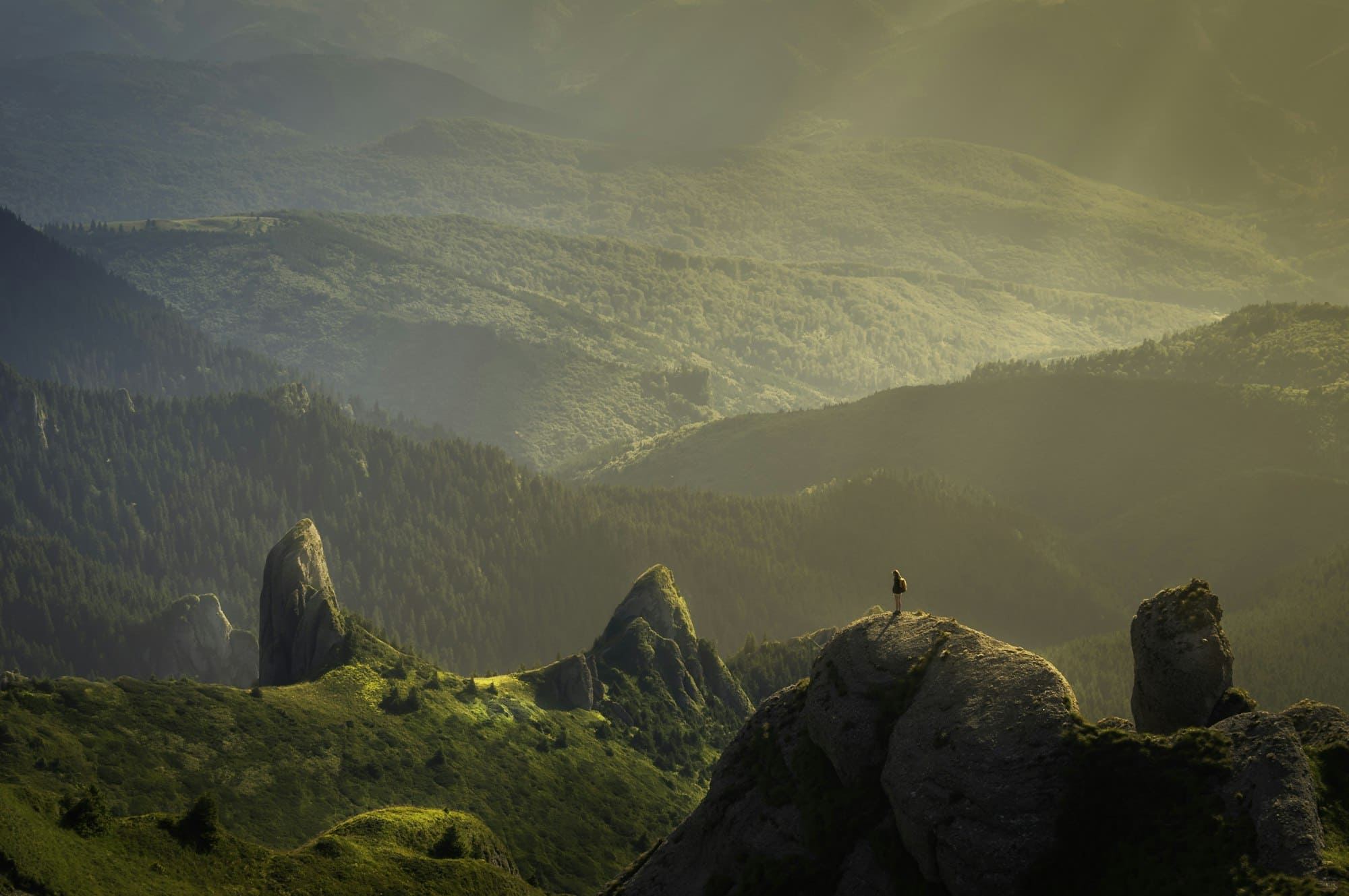 Vallée boisée et rochers en montagne